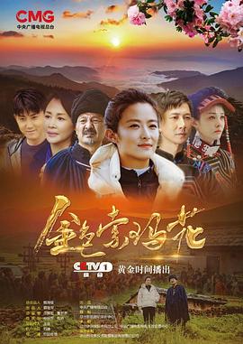 金色索玛花(2020) 第13集