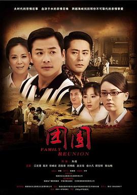 团圆-2010 第29集