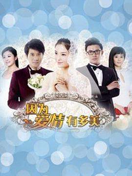 因为爱情有多美DVD 第09集